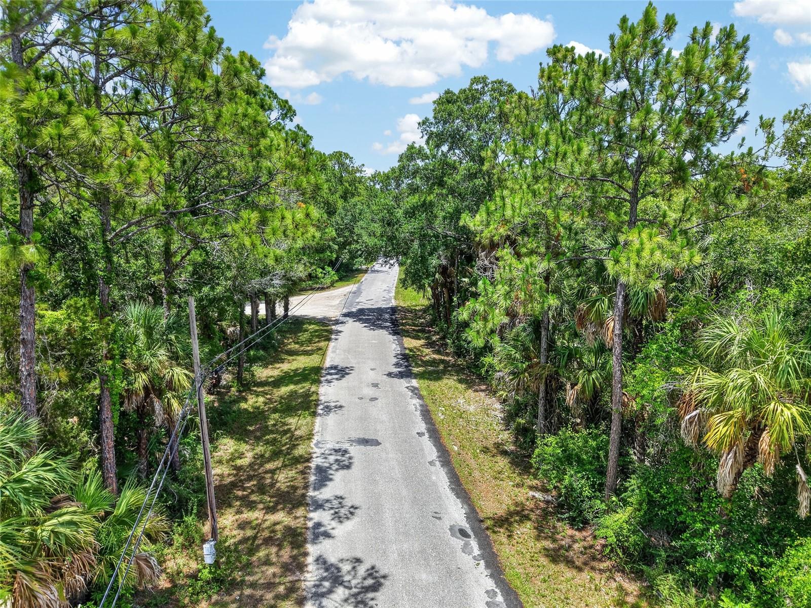 SE BUTLER ROAD, Inglis, FL 34449 SE BUTLER ROAD, Inglis, FL 34449