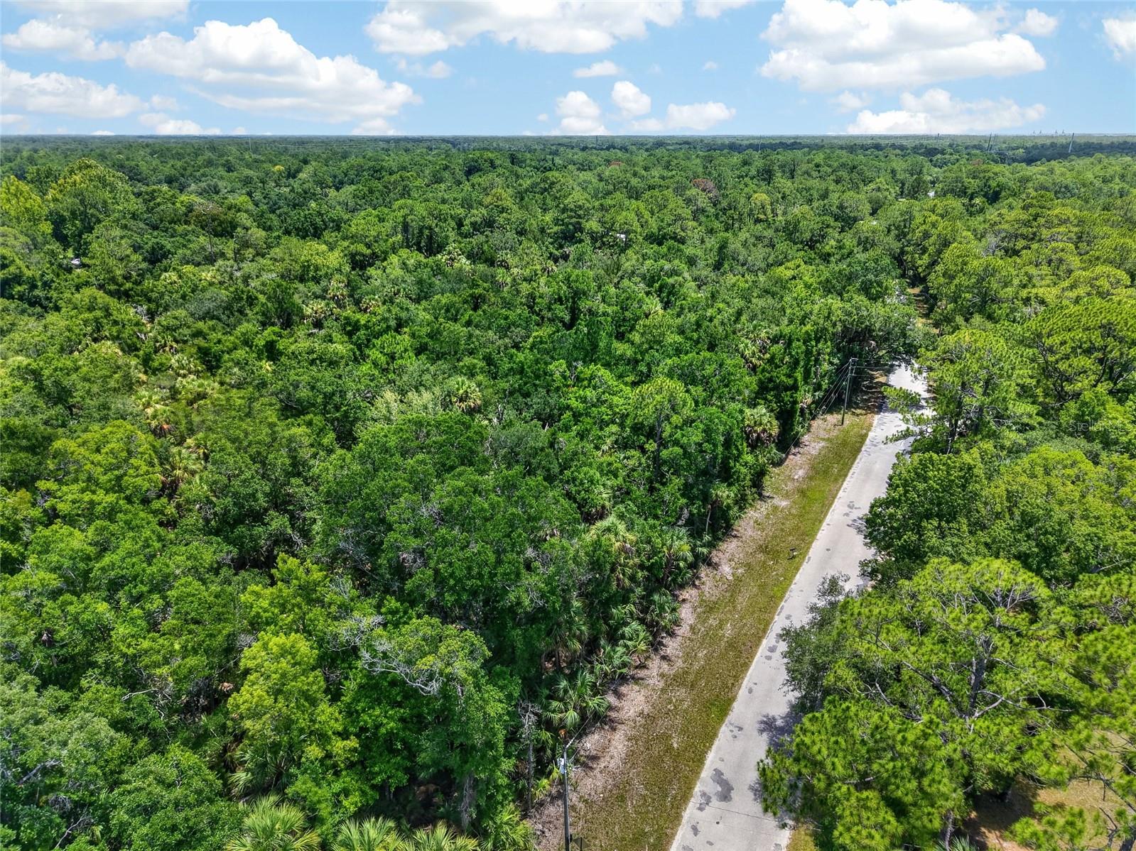 SE BUTLER ROAD, Inglis, FL 34449 SE BUTLER ROAD, Inglis, FL 34449