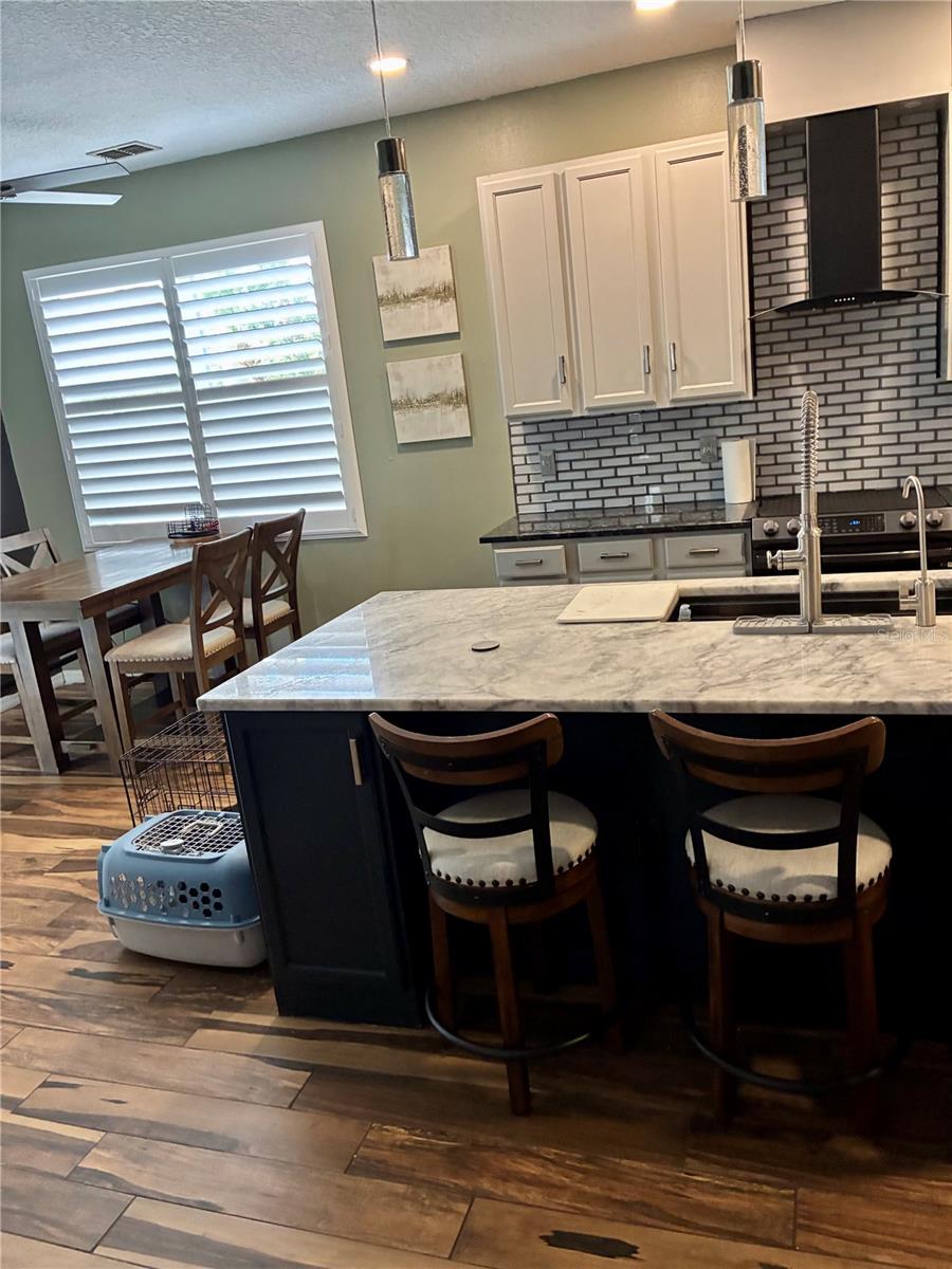 3720 BRAEMERE DRIVE, Spring Hill, FL 34609