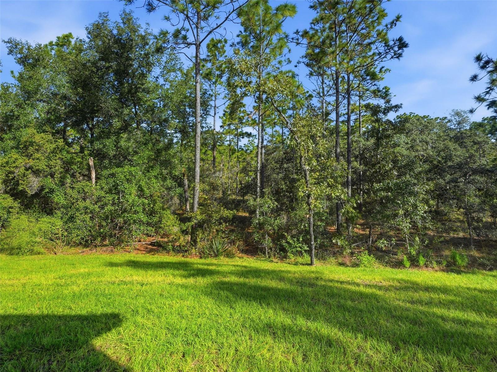 13193 BARNEVELDE ROAD, Weeki Wachee, FL 34614