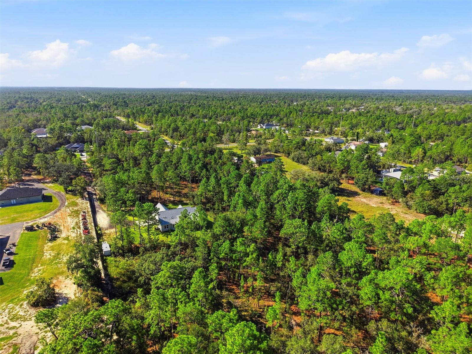 13193 BARNEVELDE ROAD, Weeki Wachee, FL 34614
