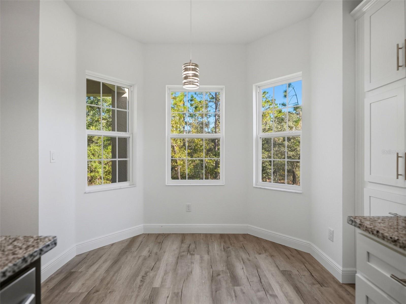 13193 BARNEVELDE ROAD, Weeki Wachee, FL 34614