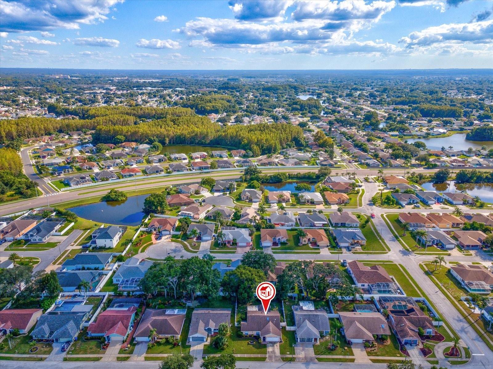 8350 ROYAL HART DRIVE, New Port Richey, FL 34653