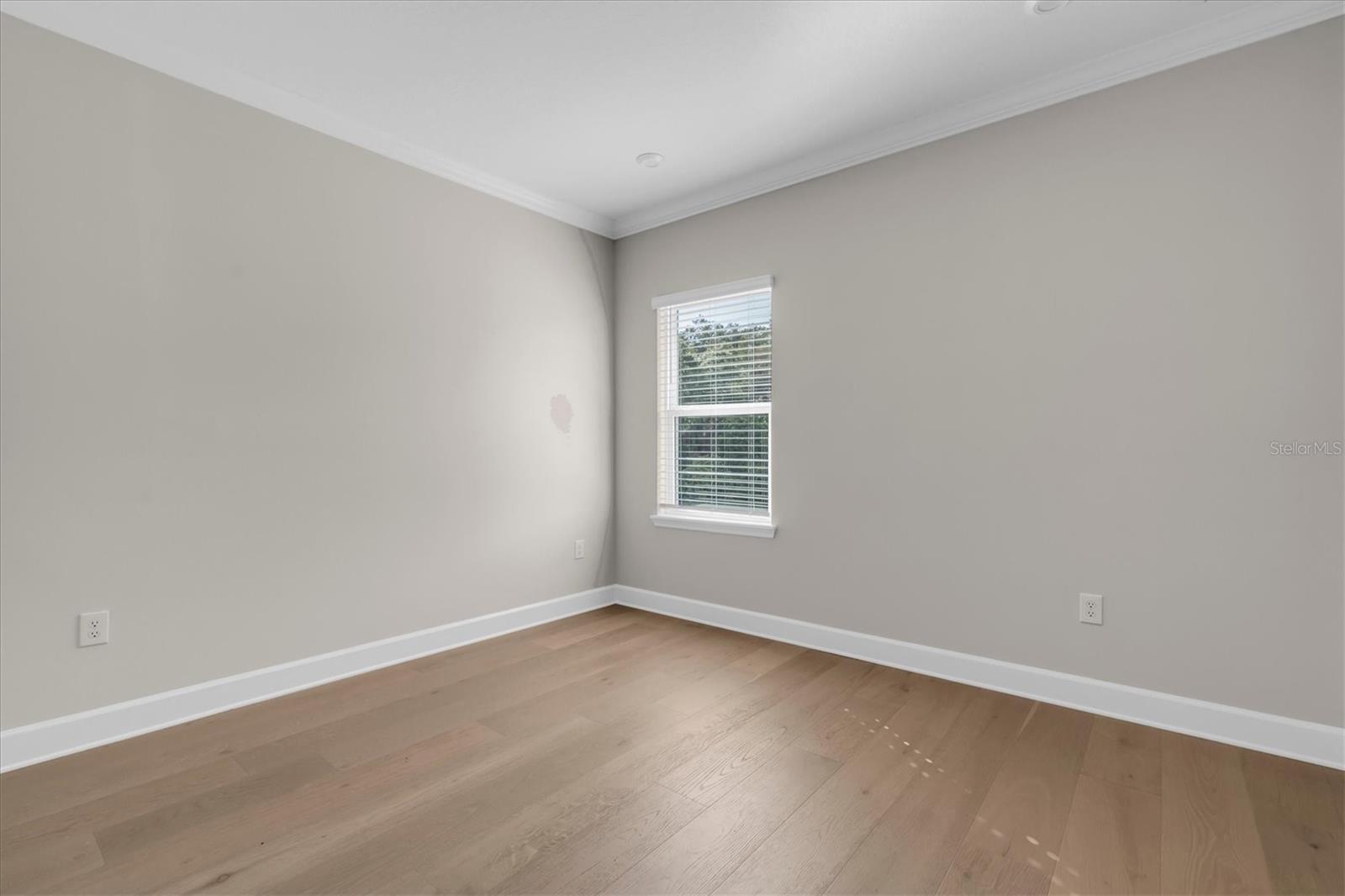 Sunlit Bedroom Space View