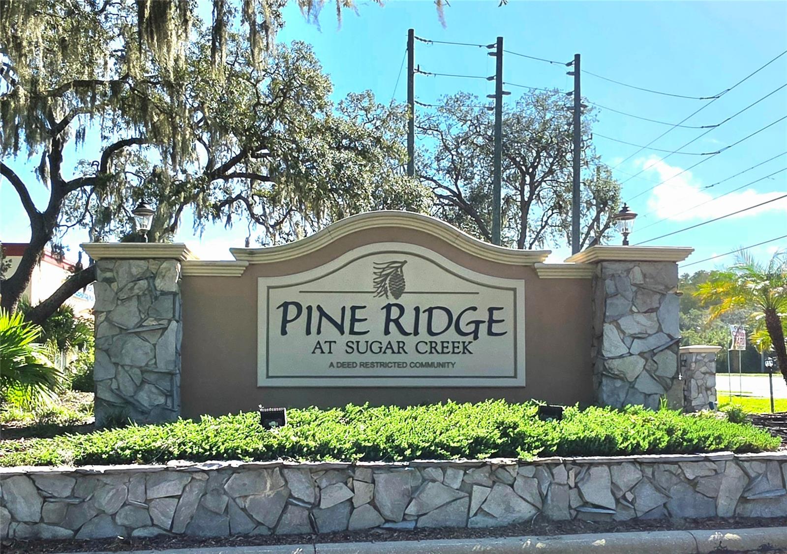 12218 FOX CHASE DRIVE, #C2, Hudson, FL 34669