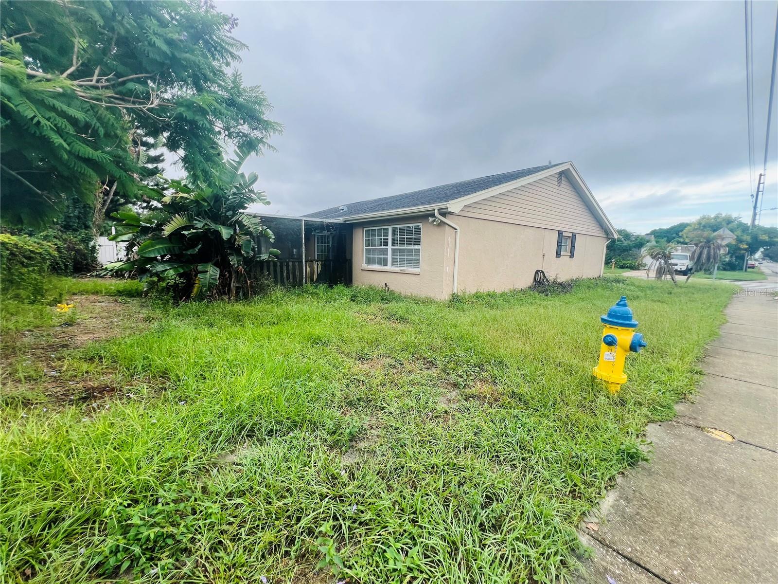 BACK AND SIDE YARD
