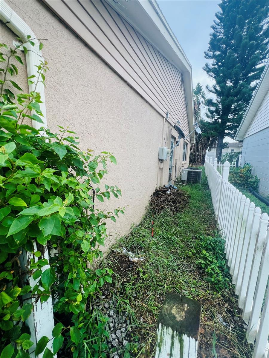 SIDE YARD