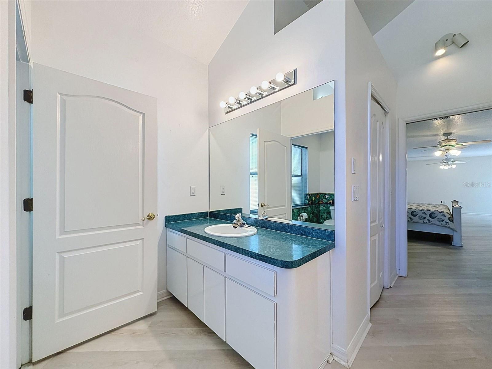 Owner's suite includes jetted tub, two WICs, linen closet, water closet, two vanities, and large shower.
