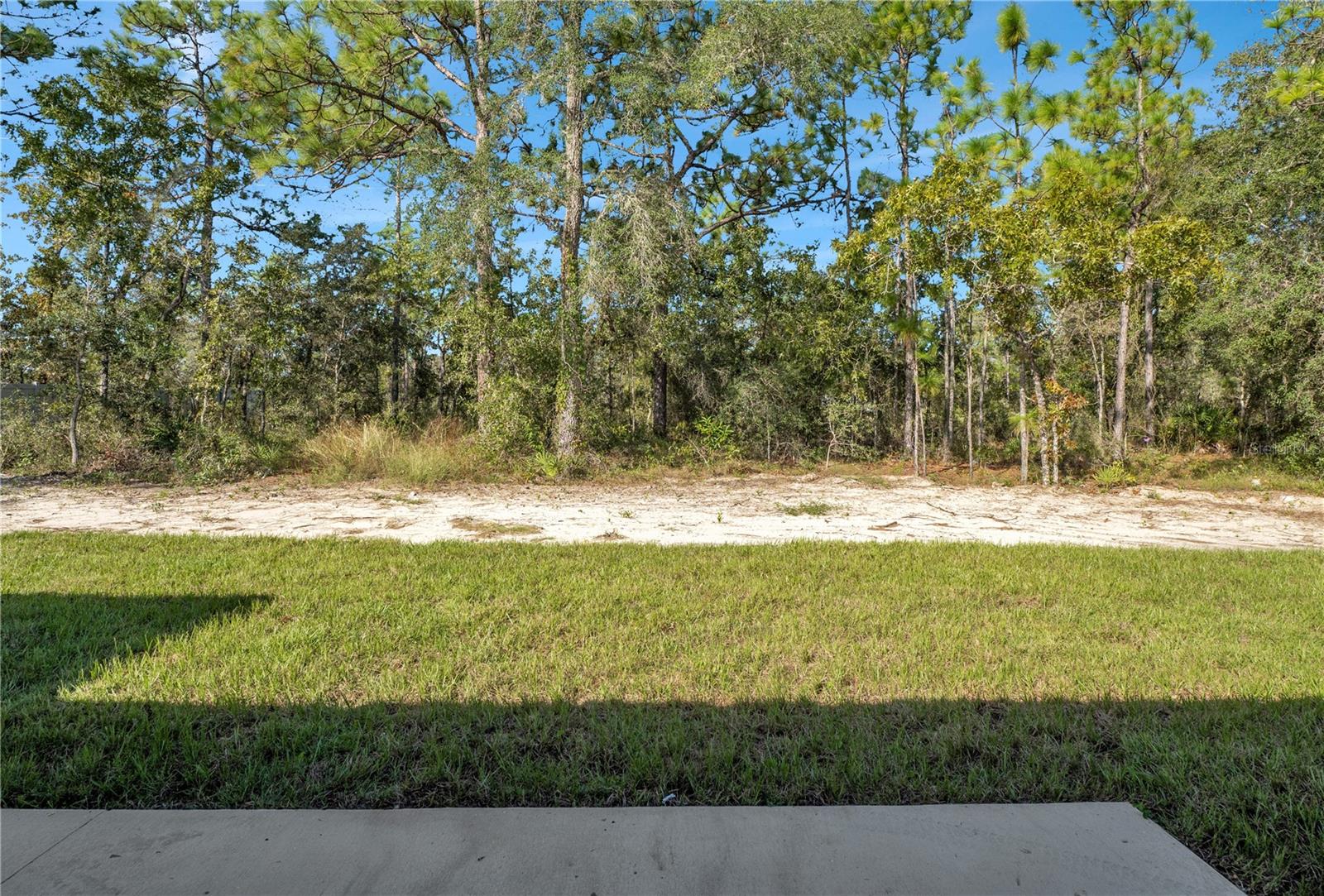 14497 GOLDENEYE ROAD, Weeki Wachee, FL 34614