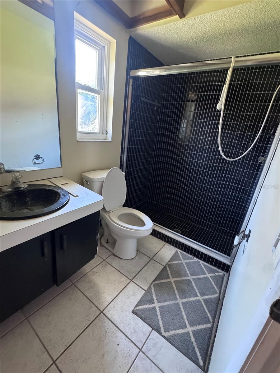 209 LEAFWOOD ROAD, Tarpon Springs, FL 34689