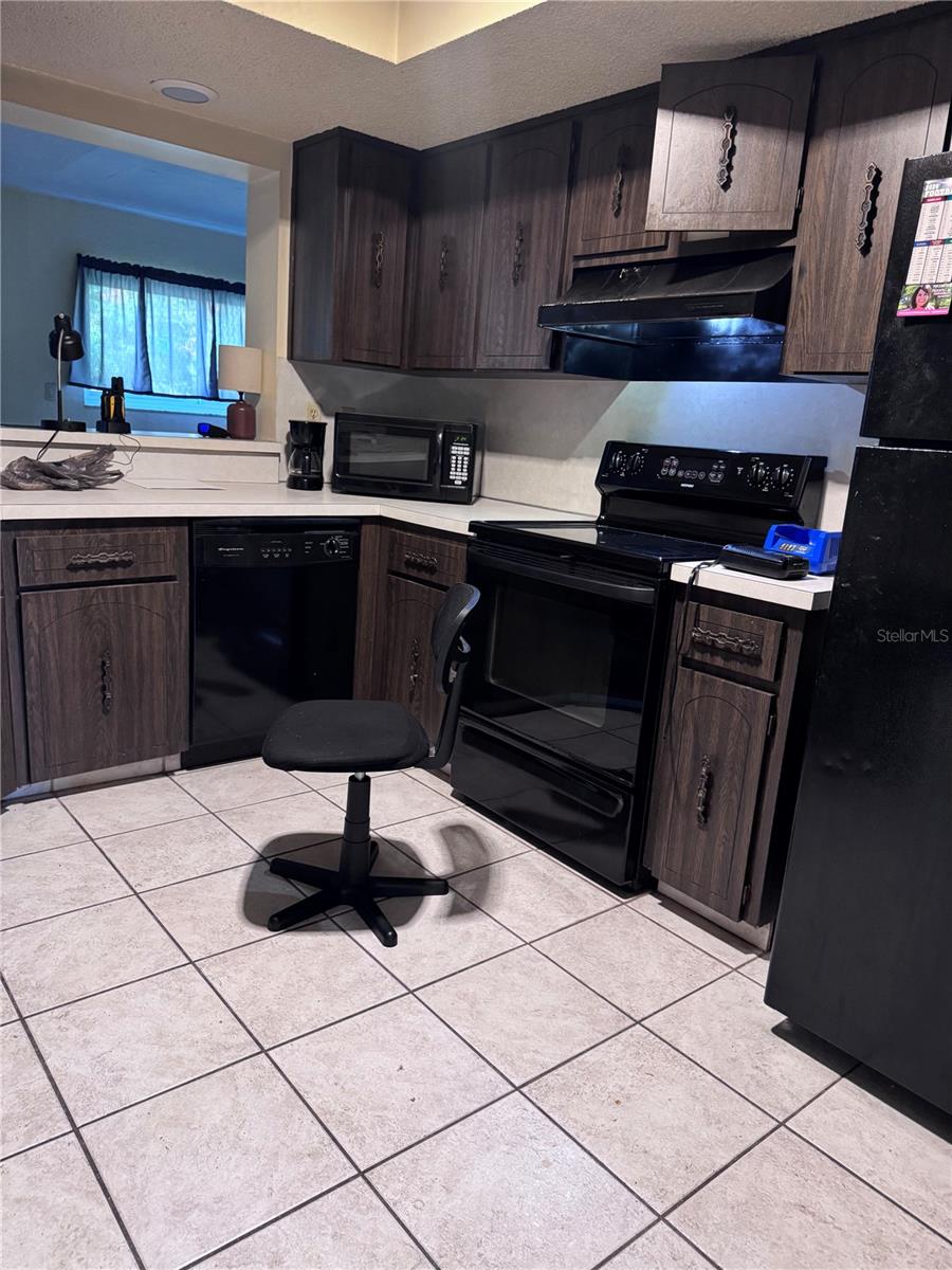 209 LEAFWOOD ROAD, Tarpon Springs, FL 34689