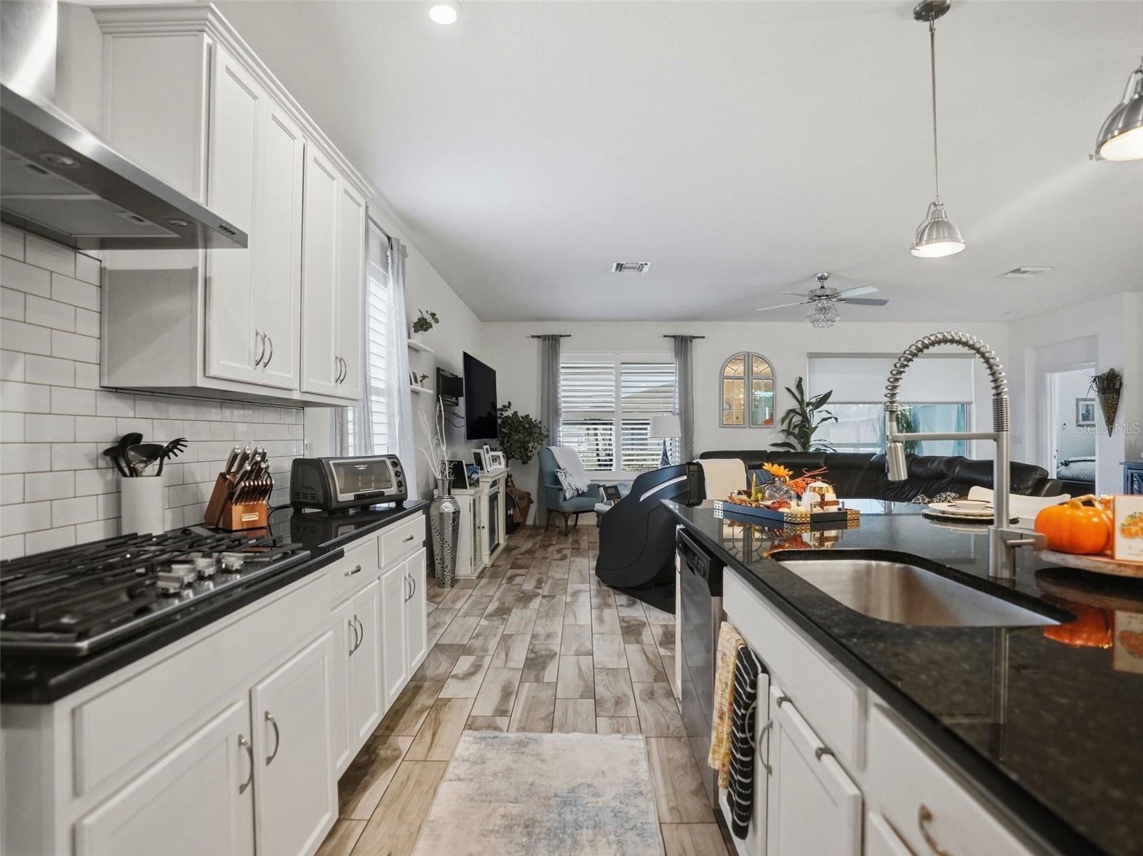 19458 FORT KING RUN, Brooksville, FL 34601