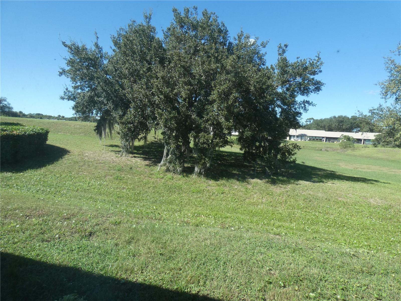 11149 SANDTRAP DRIVE, Port Richey, FL 34668