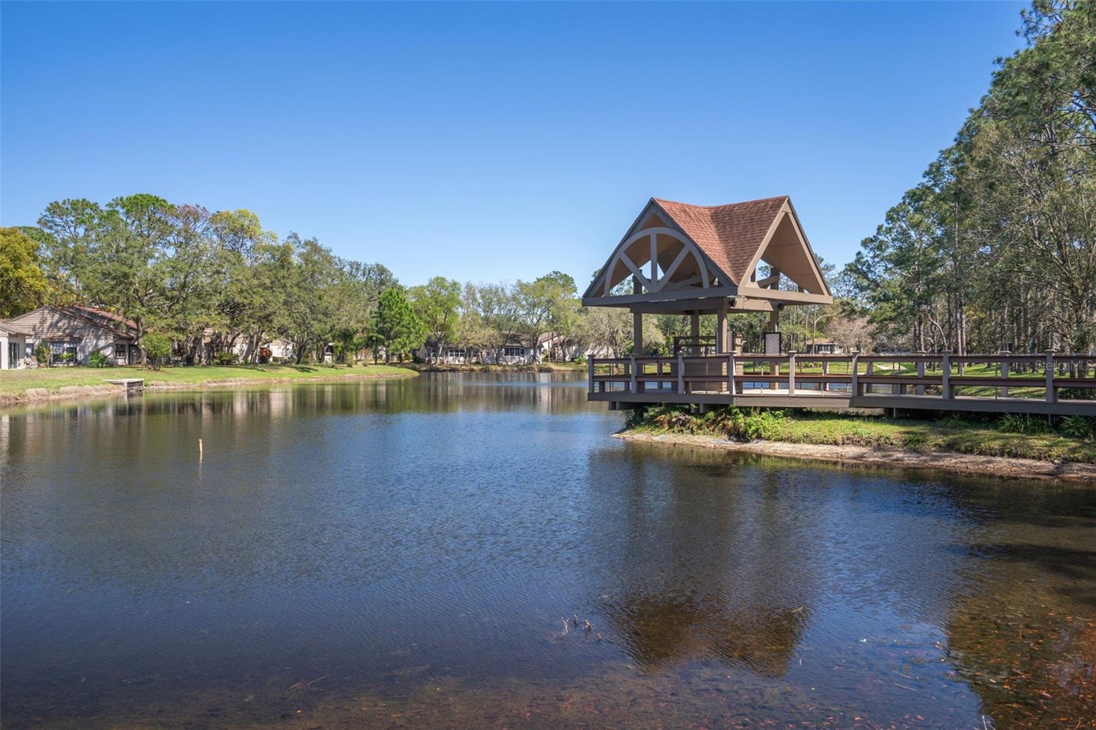 6466 NATURE PRESERVE LANE, Spring Hill, FL 34606