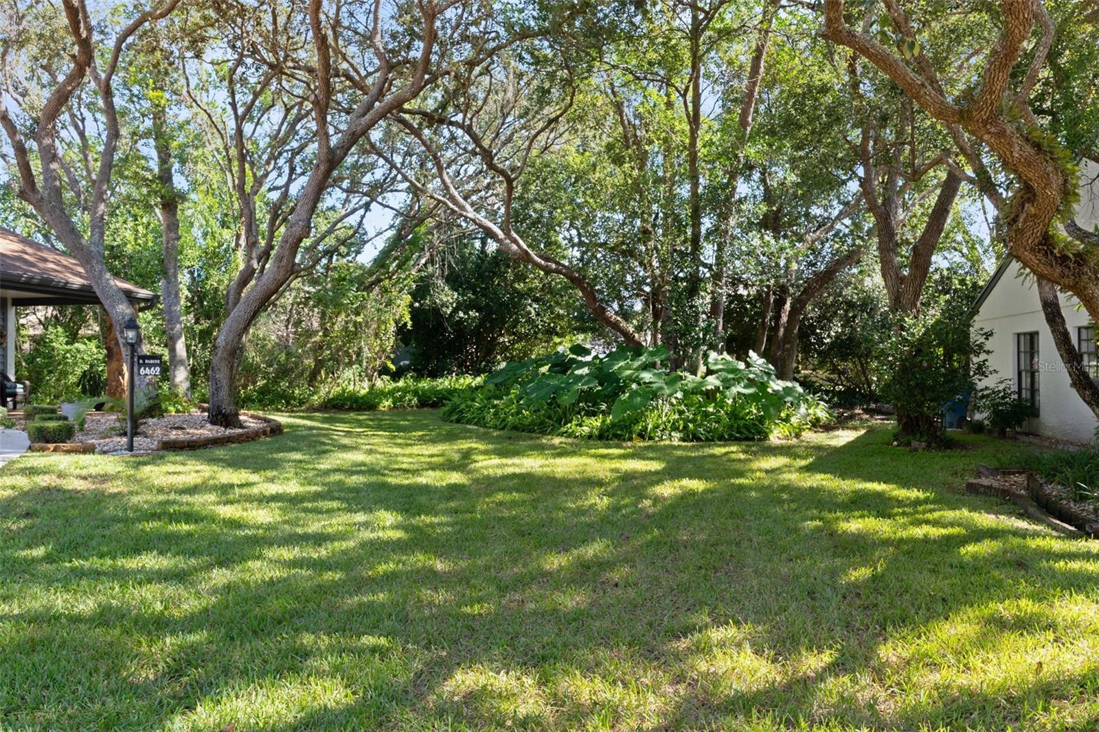 6466 NATURE PRESERVE LANE, Spring Hill, FL 34606