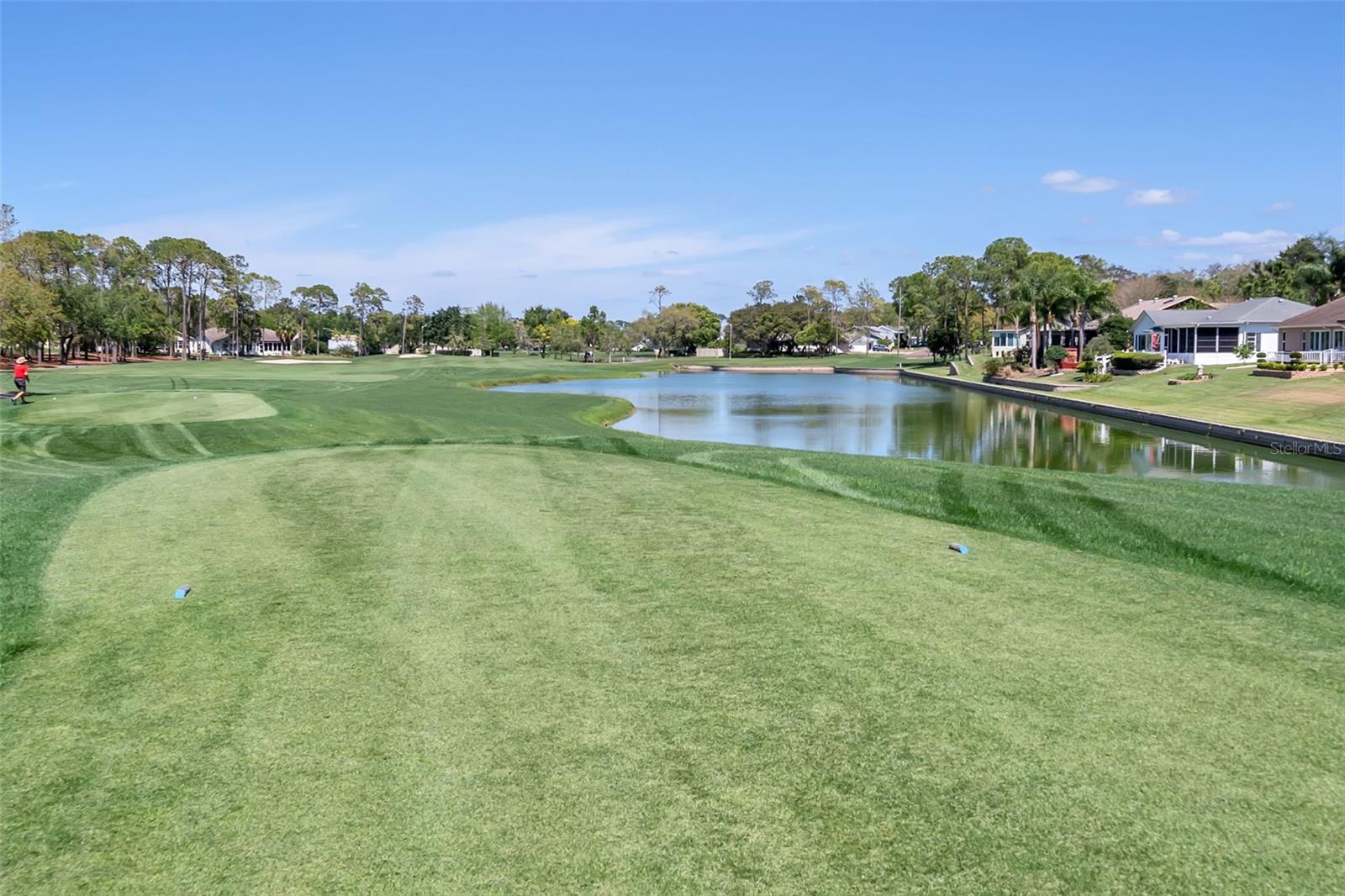 6466 NATURE PRESERVE LANE, Spring Hill, FL 34606