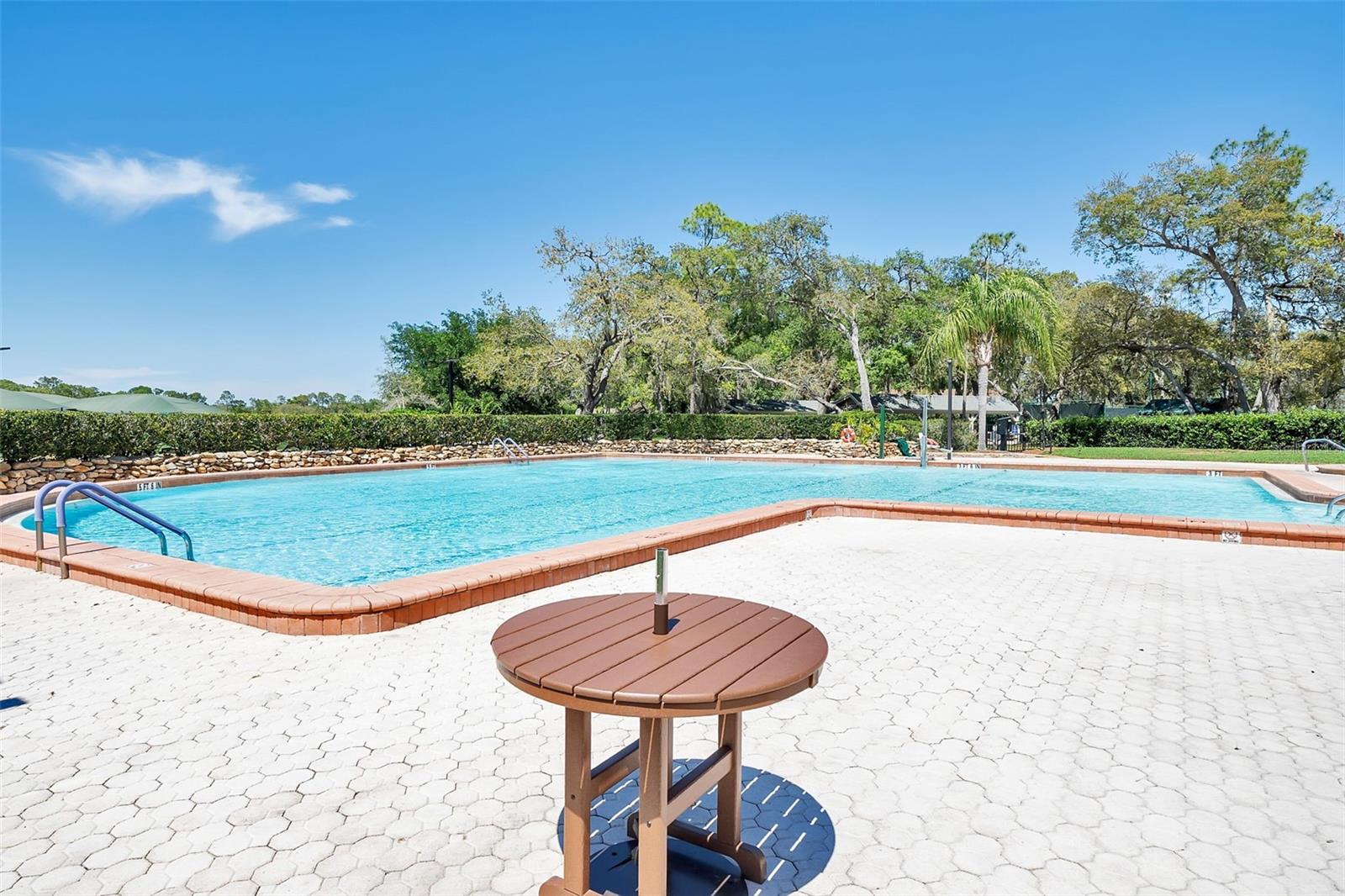 6466 NATURE PRESERVE LANE, Spring Hill, FL 34606