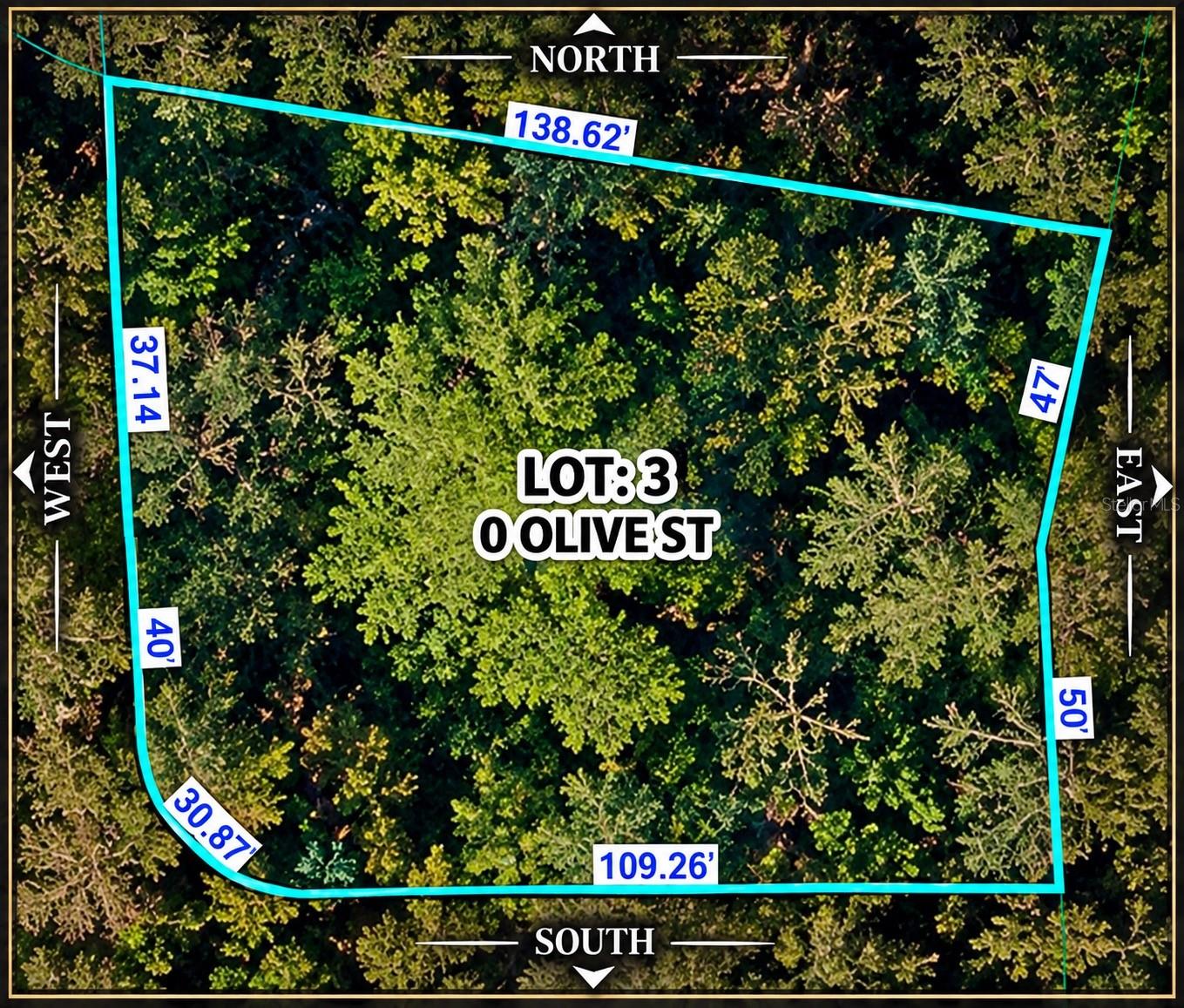 0 OLIVE STREET, Brooksville, FL 34601 0 OLIVE STREET, Brooksville, FL 34601