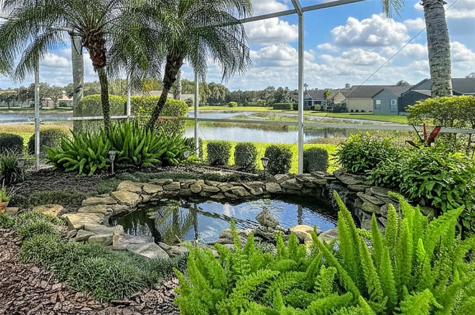 Small pond surrounded by the garden