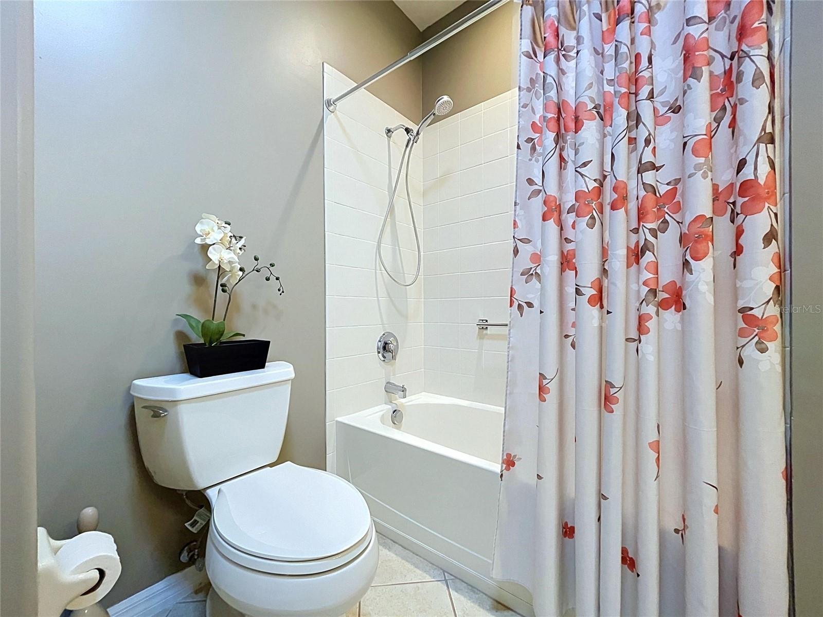Shower over tub