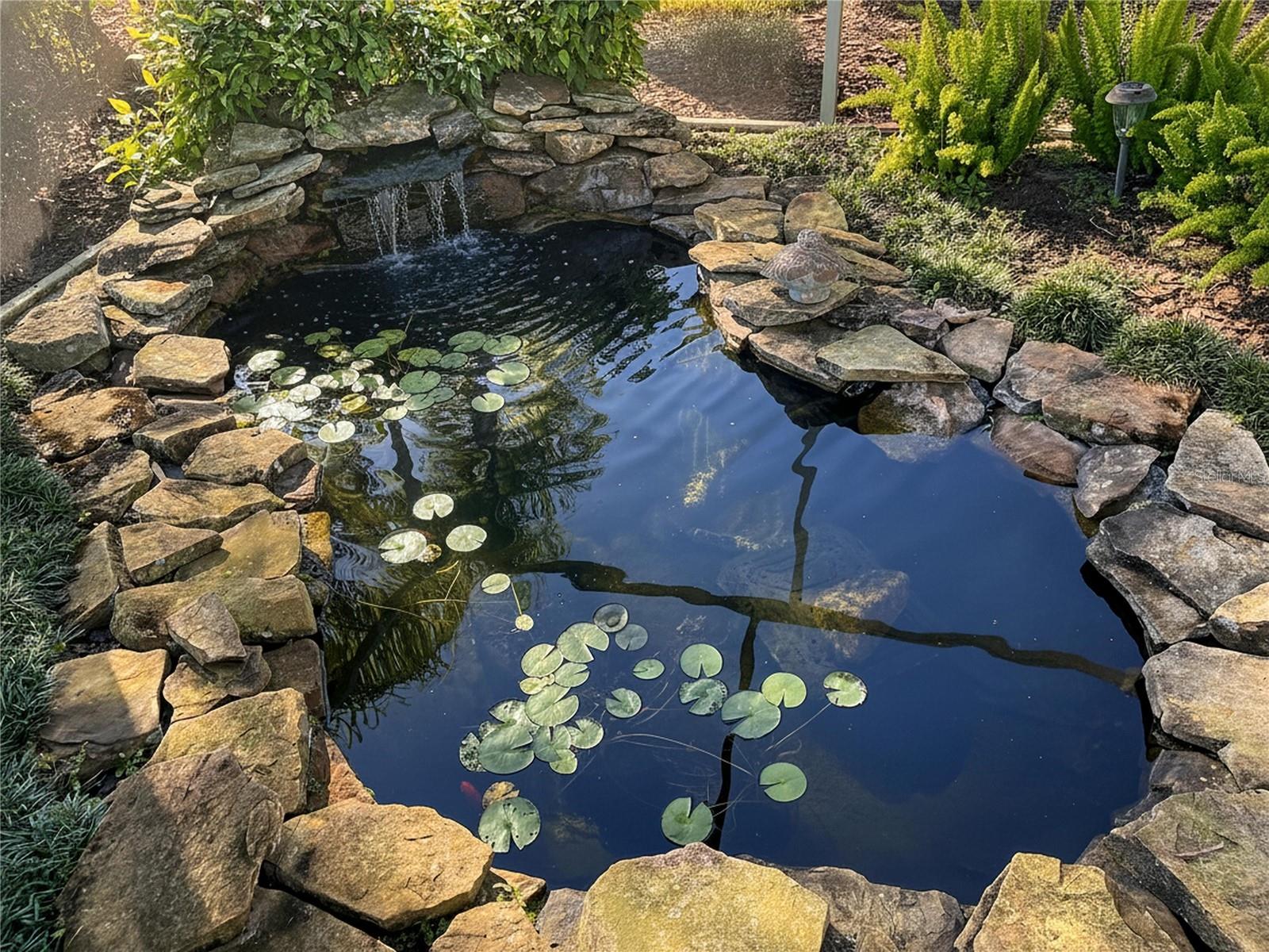 Gold fish love the cascading water