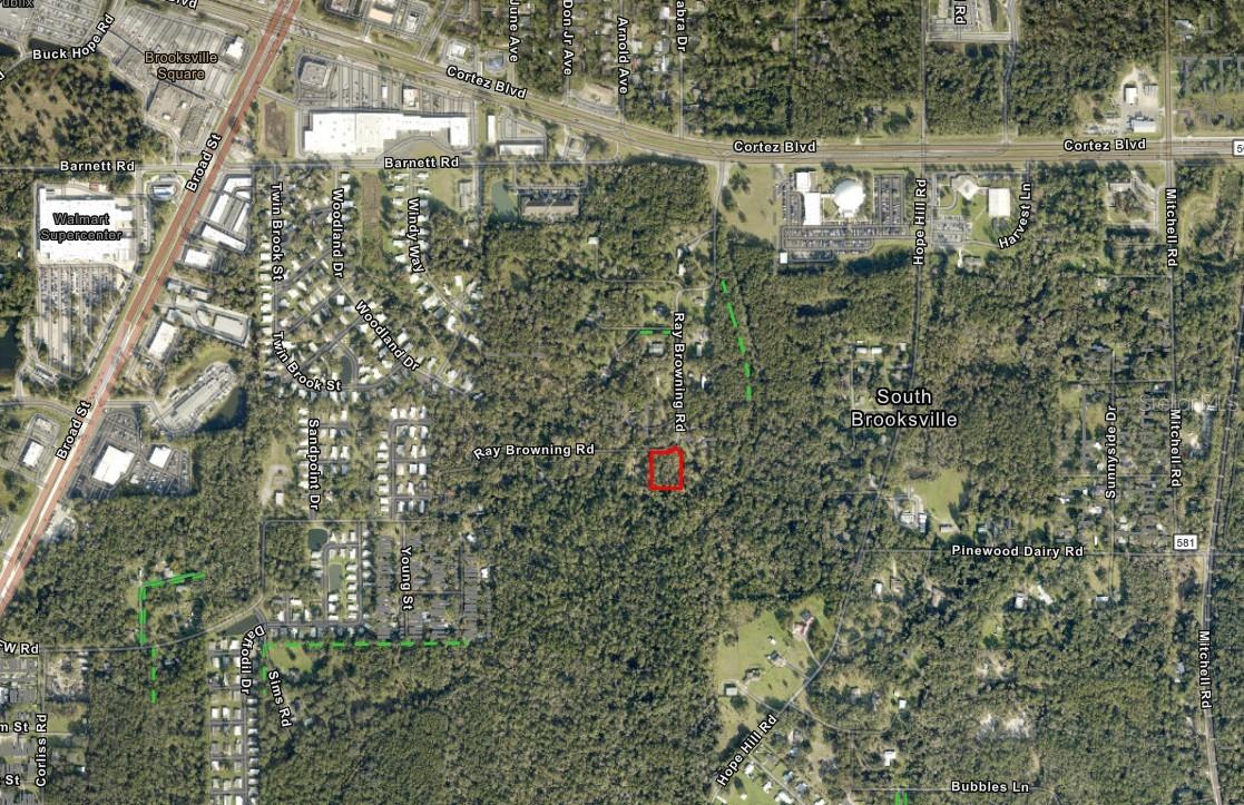 0 RAY BROWNING ROAD, Brooksville, FL 34601 0 RAY BROWNING ROAD, Brooksville, FL 34601