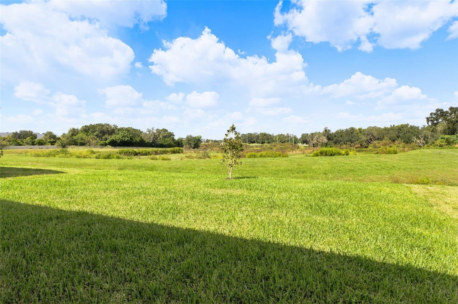 11226 SYCAMORE GLEN LOOP, Thonotosassa, FL 33592