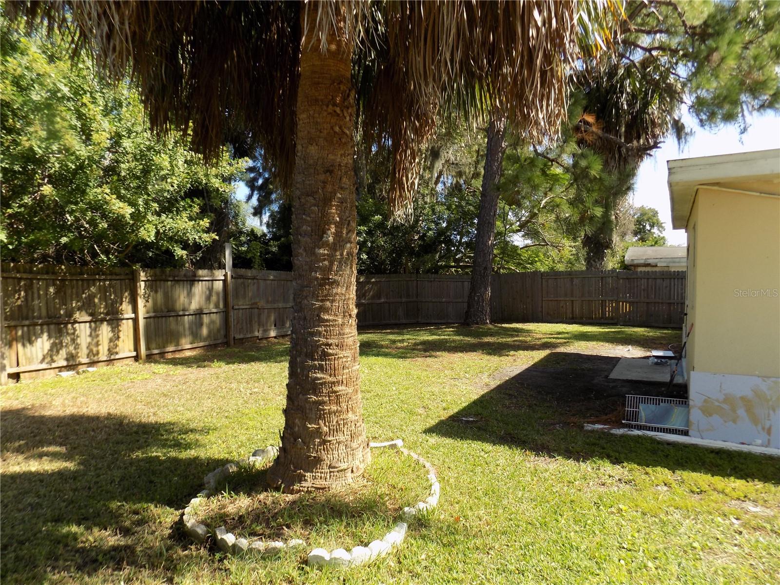 Back Yard view from side gate