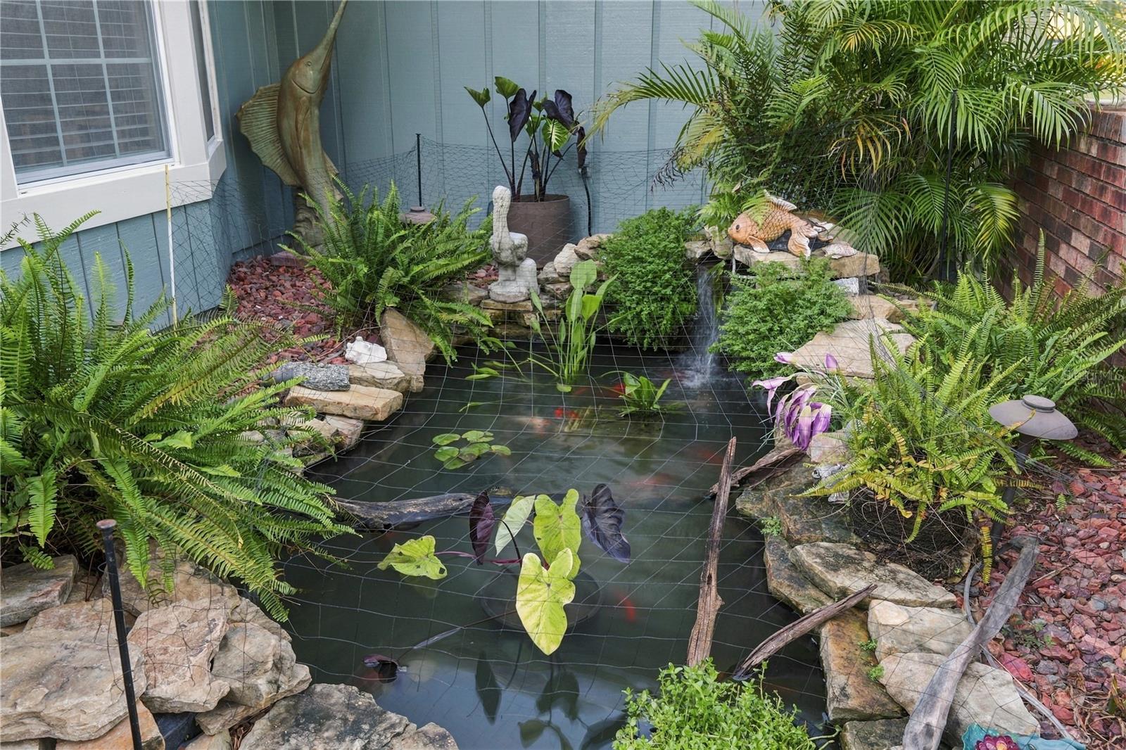 Koi Pond