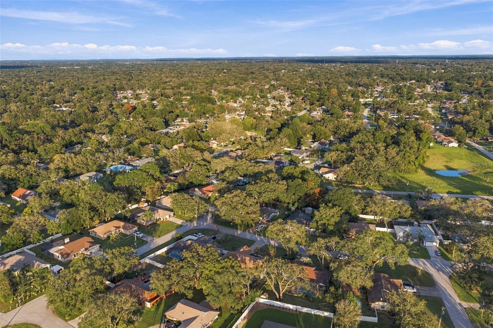 2031 NOBLETON AVENUE, Spring Hill, FL 34608