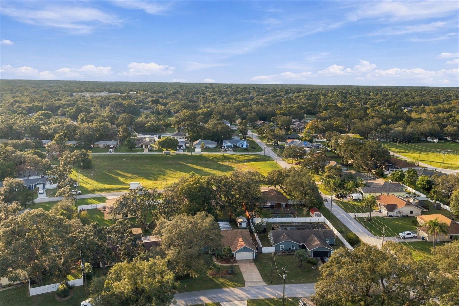 2031 NOBLETON AVENUE, Spring Hill, FL 34608