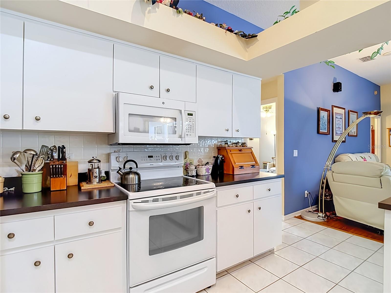 10033 FOUNTAIN COURT, New Port Richey, FL 34654