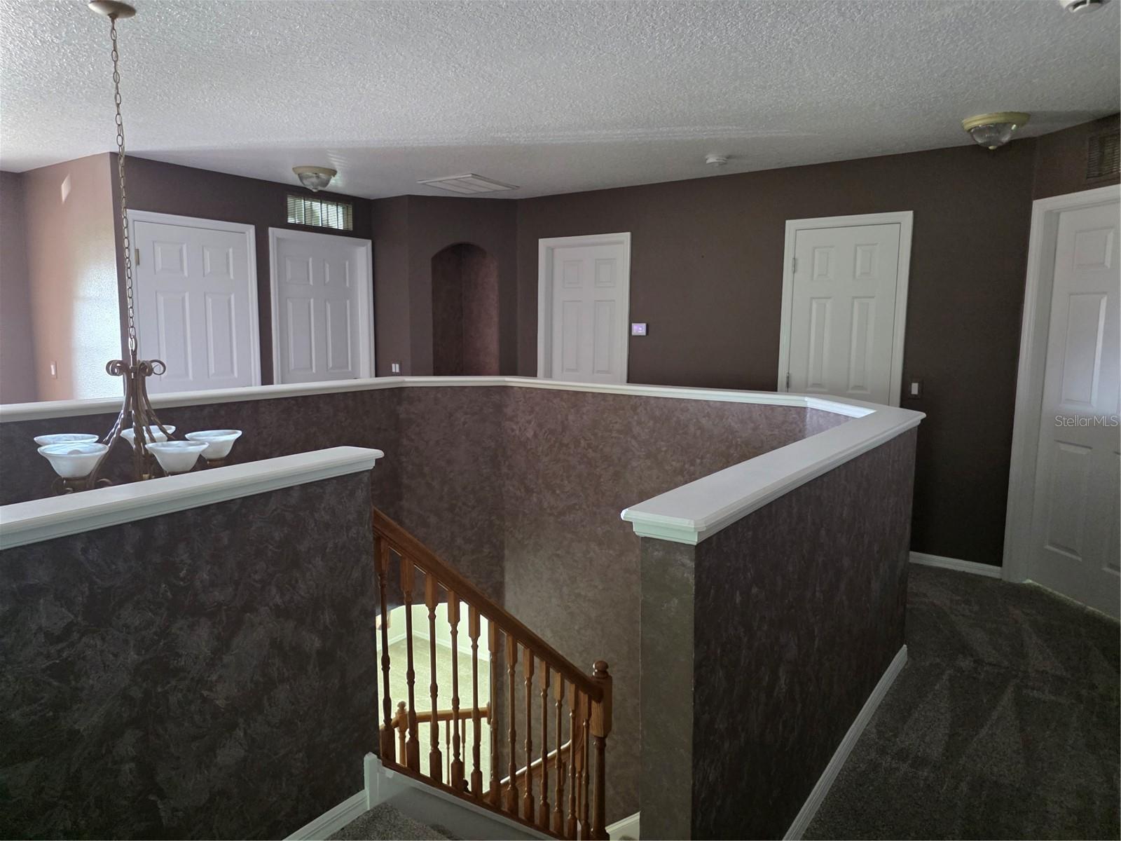 7711 ARELLI DRIVE, New Port Richey, FL 34655