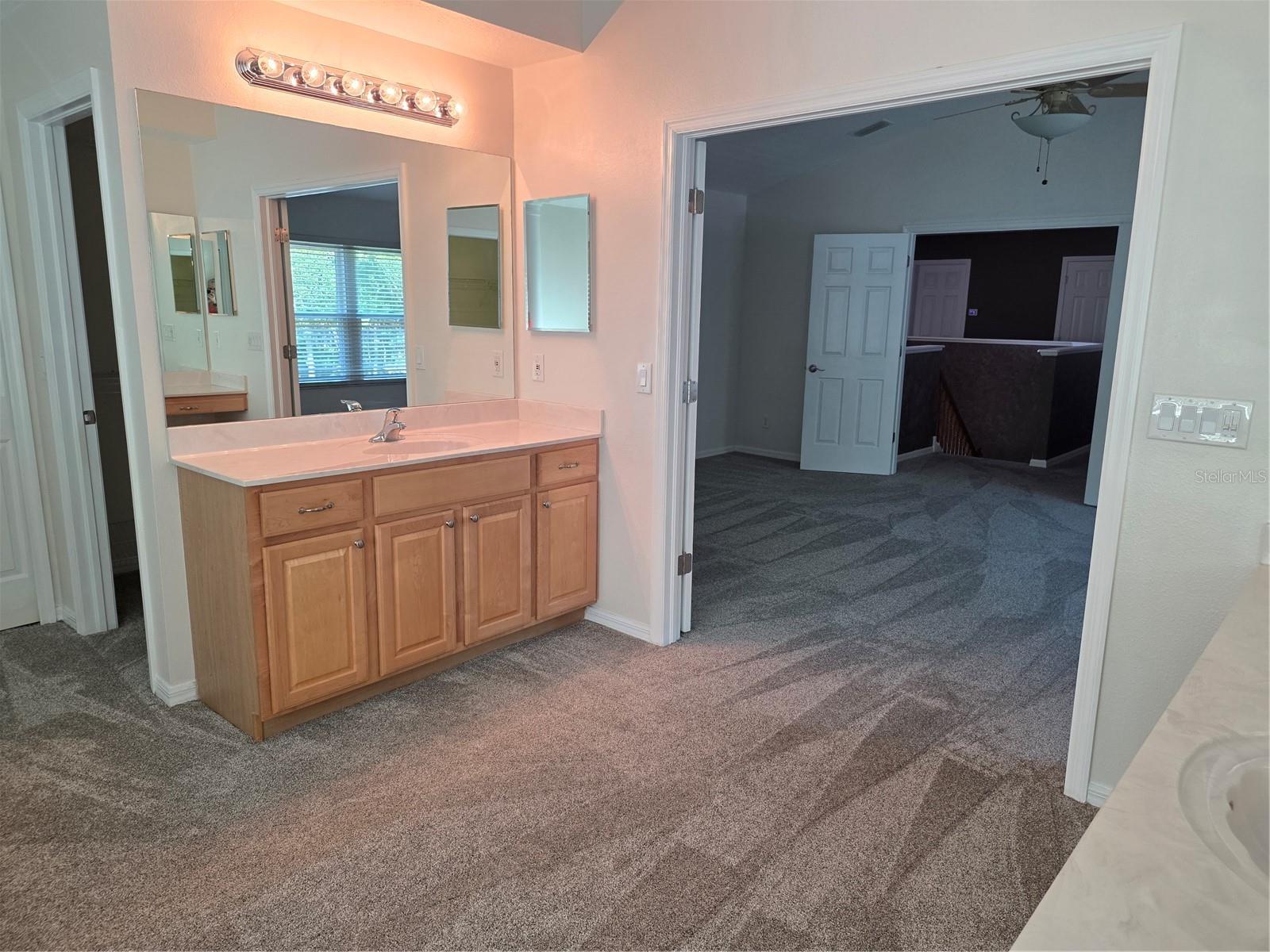 Master bathroom