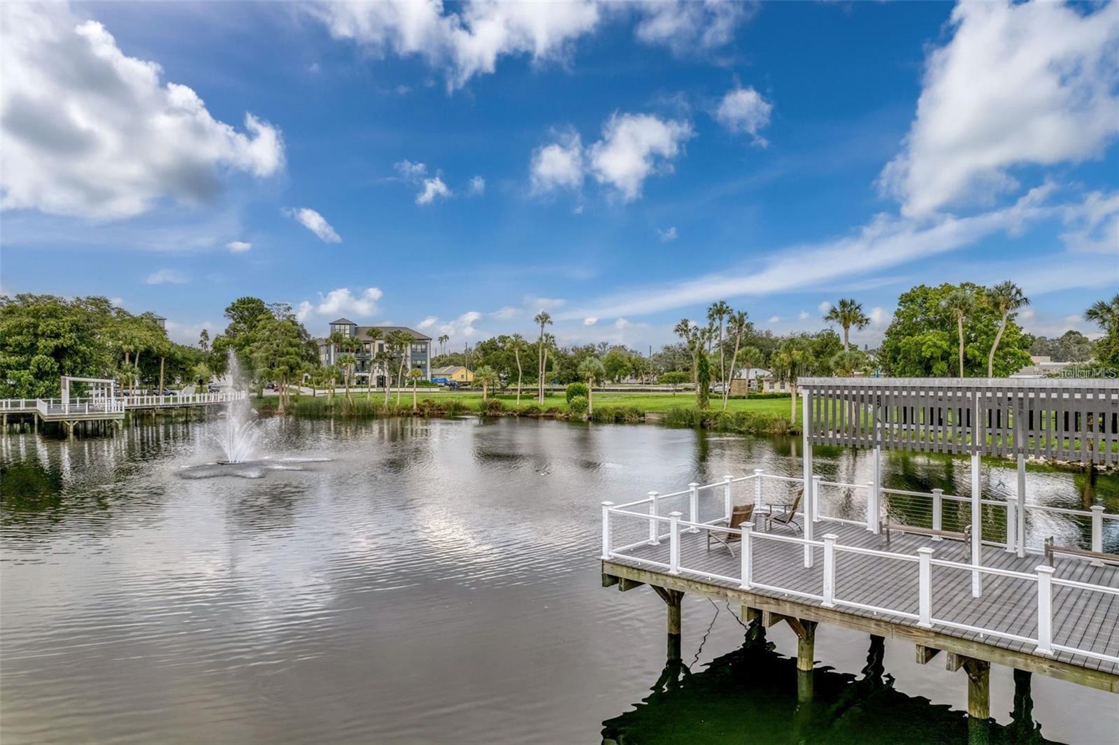 Orange Lake at Sims Park Downtown New Port Richey - Area Community Photo