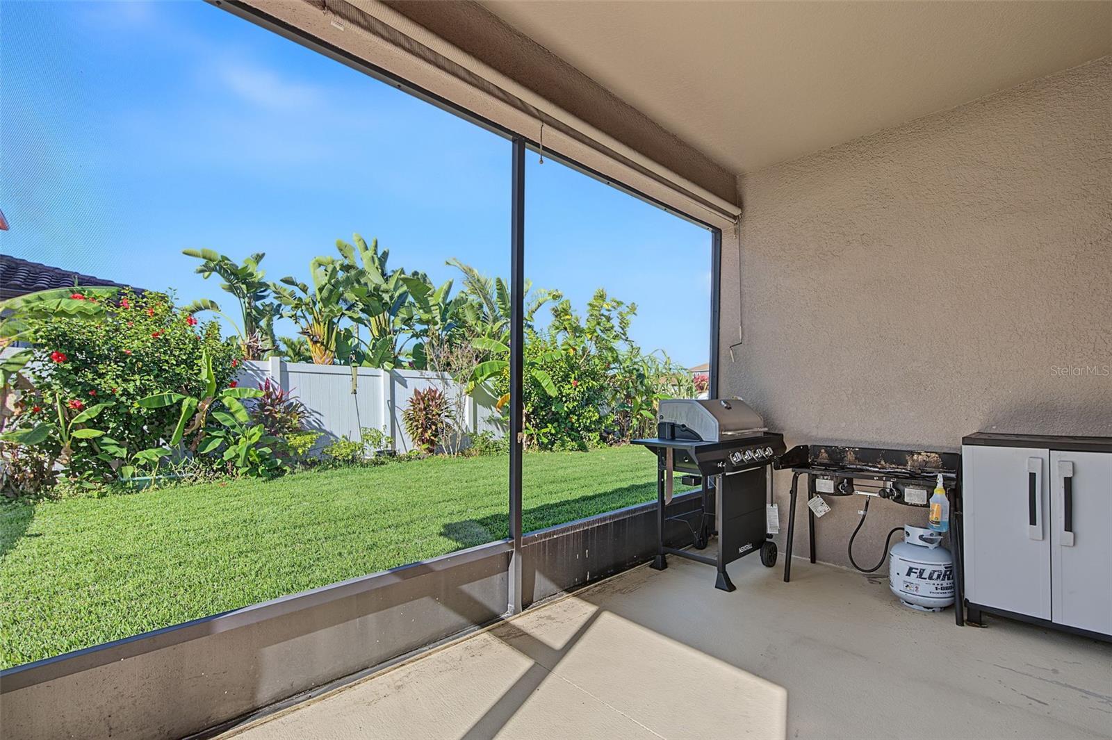 13175 GREEN VIOLET DRIVE, Riverview, FL 33579