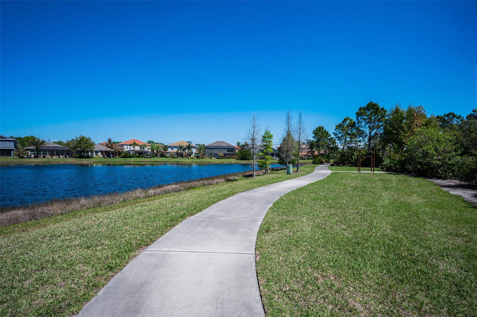 13175 GREEN VIOLET DRIVE, Riverview, FL 33579