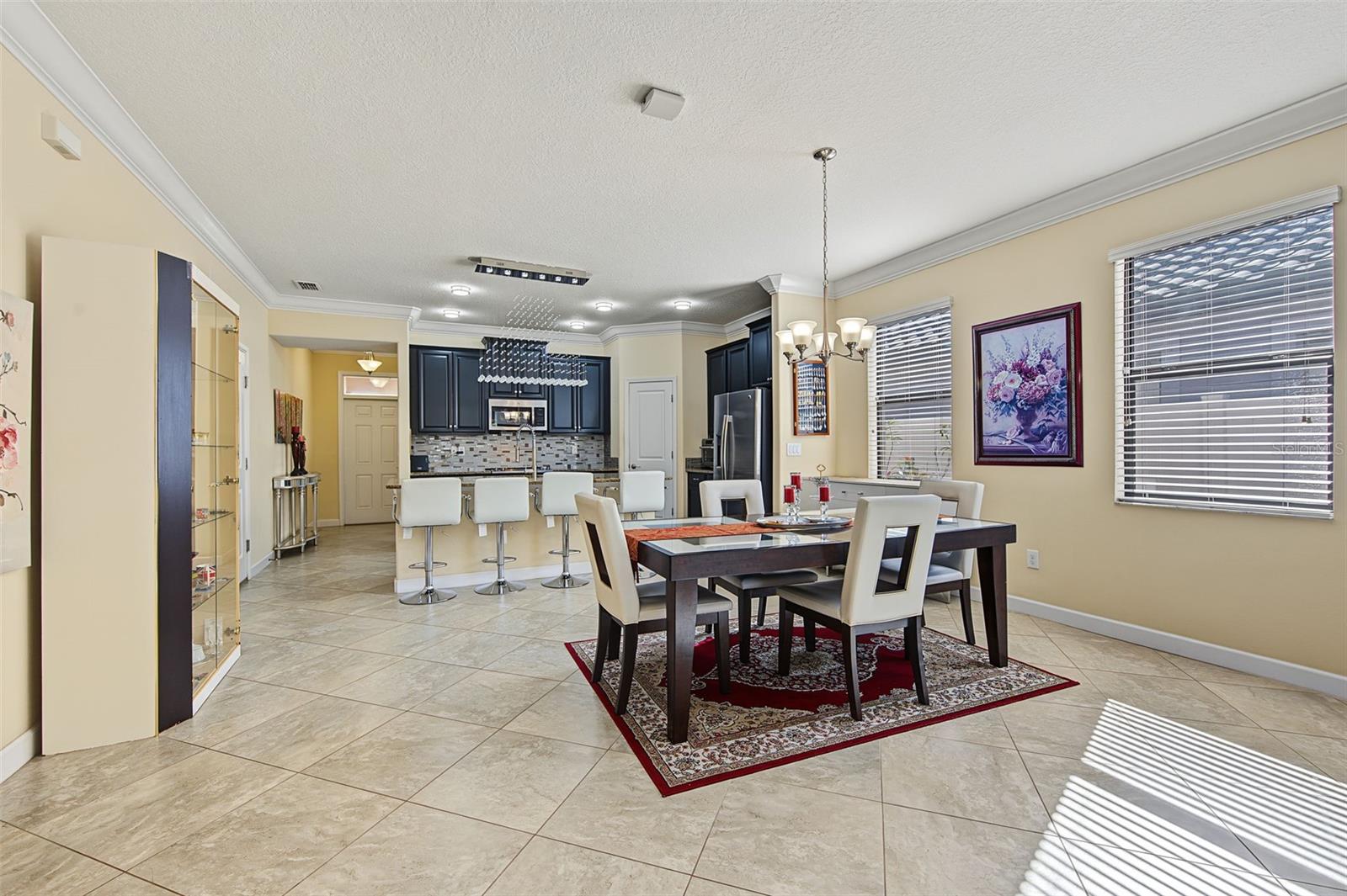 13175 GREEN VIOLET DRIVE, Riverview, FL 33579