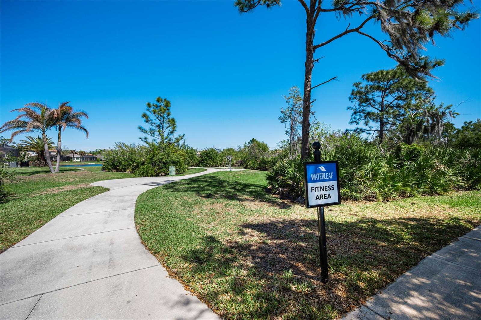 13175 GREEN VIOLET DRIVE, Riverview, FL 33579