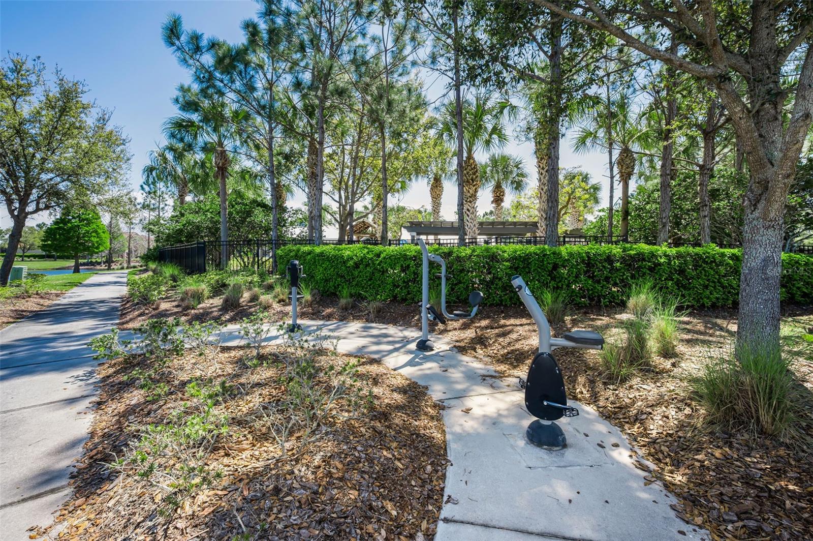 13175 GREEN VIOLET DRIVE, Riverview, FL 33579