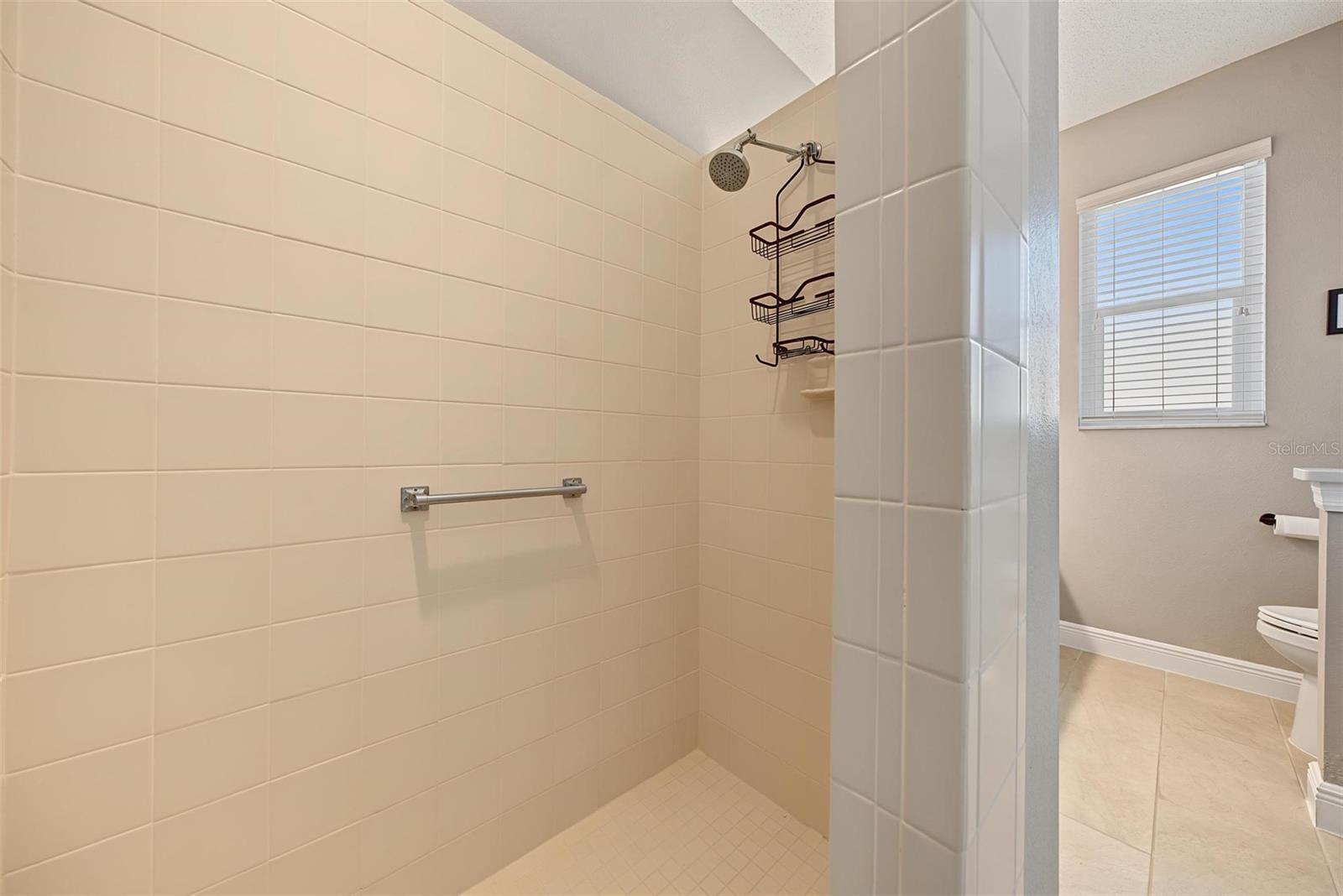 Walk-in shower