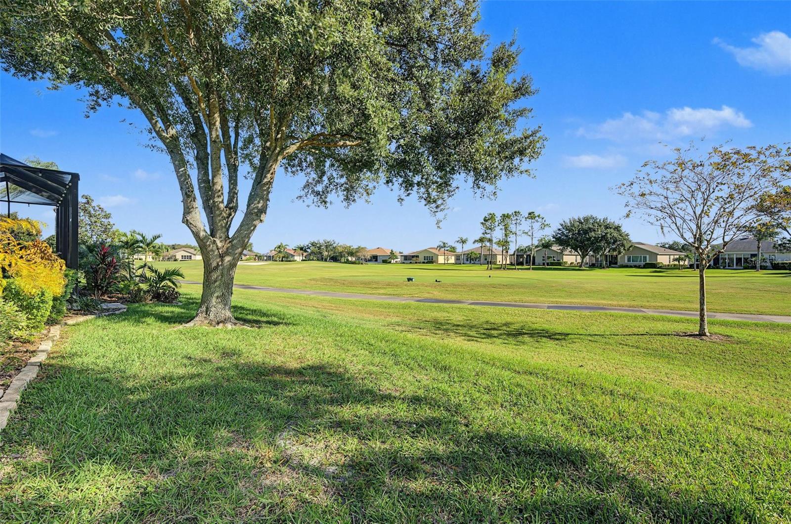Your gorgeous golf course view!