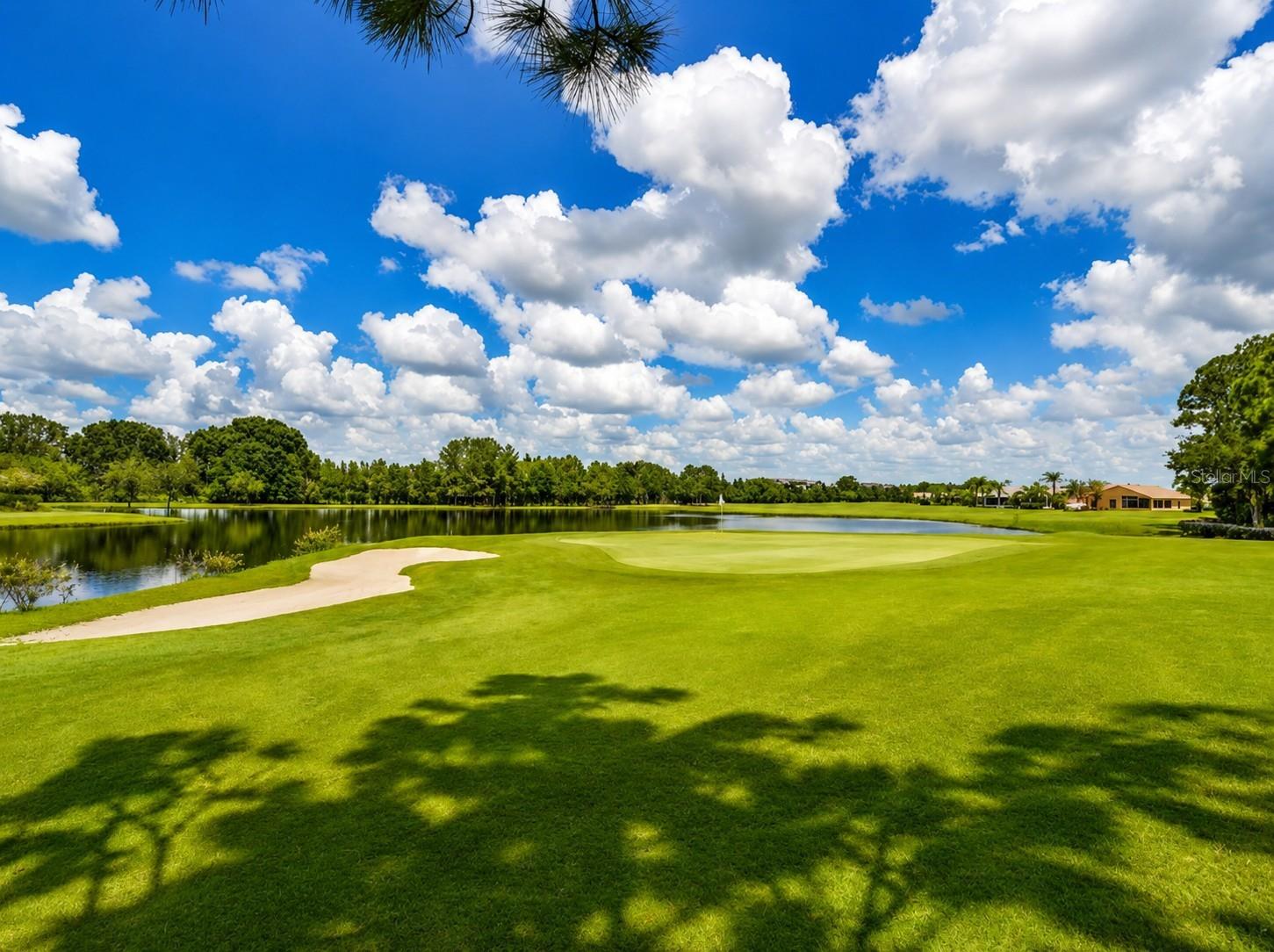 1929 WESTERHAM LOOP, Trinity, FL 34655