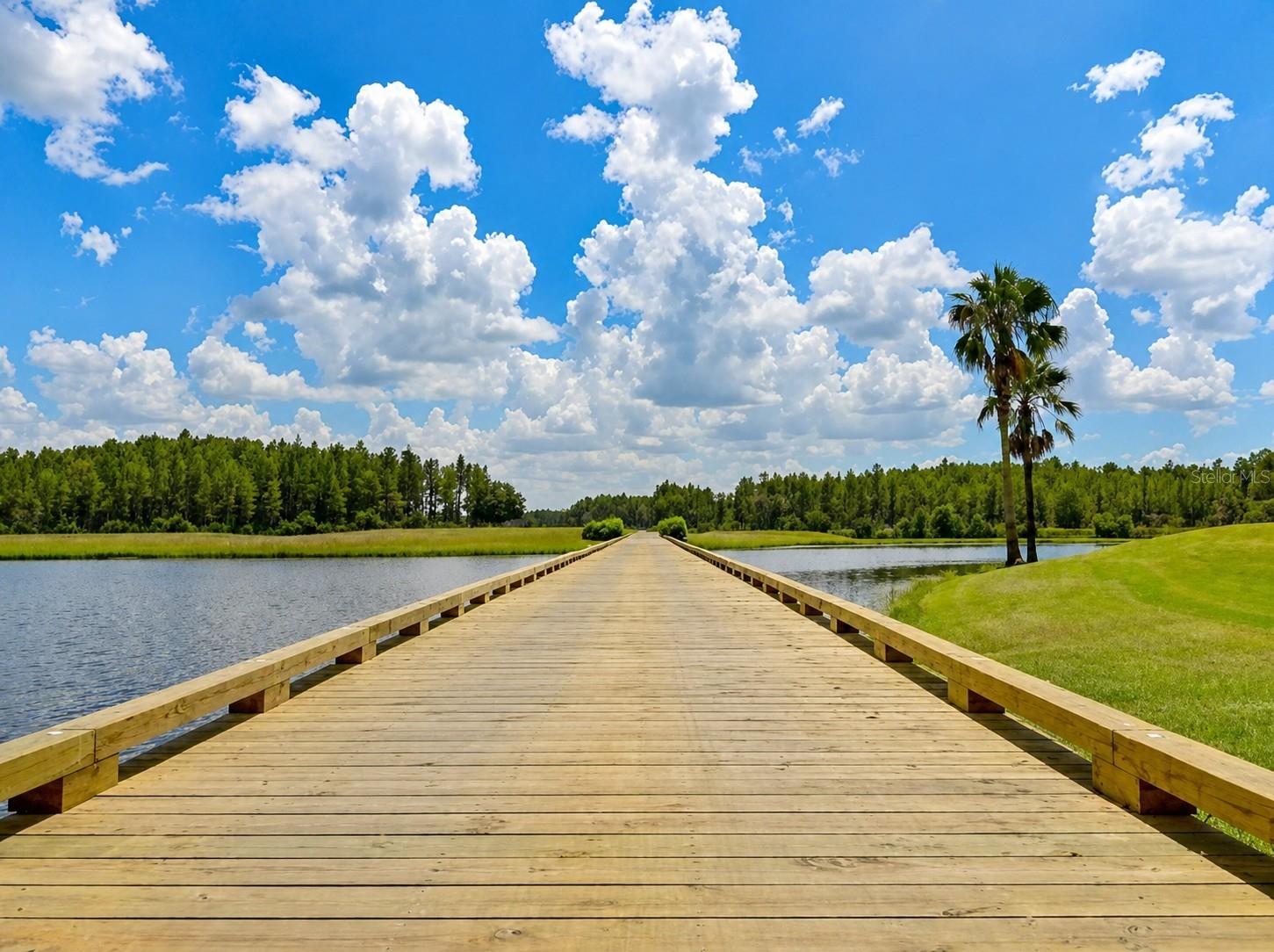 1929 WESTERHAM LOOP, Trinity, FL 34655