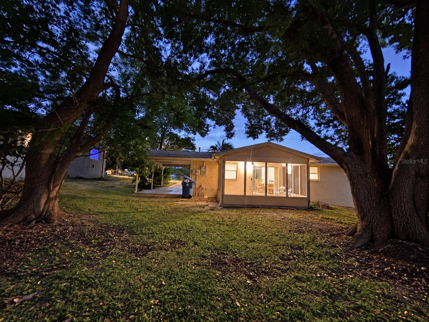 View of Backyard