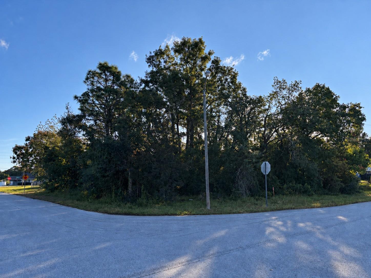 Beautiful Corner Lot
