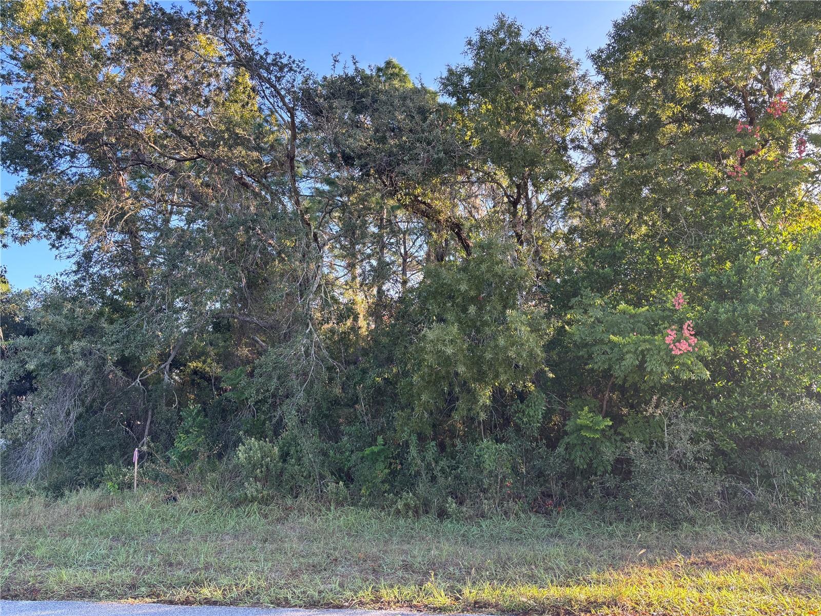 Beautiful Corner Lot
