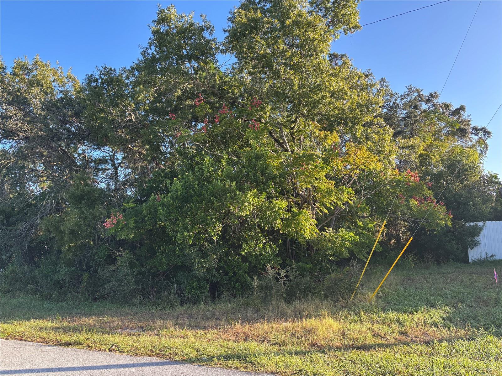 Beautiful Corner Lot