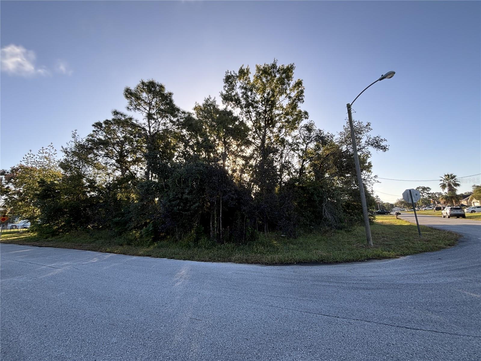 Beautiful Corner Lot