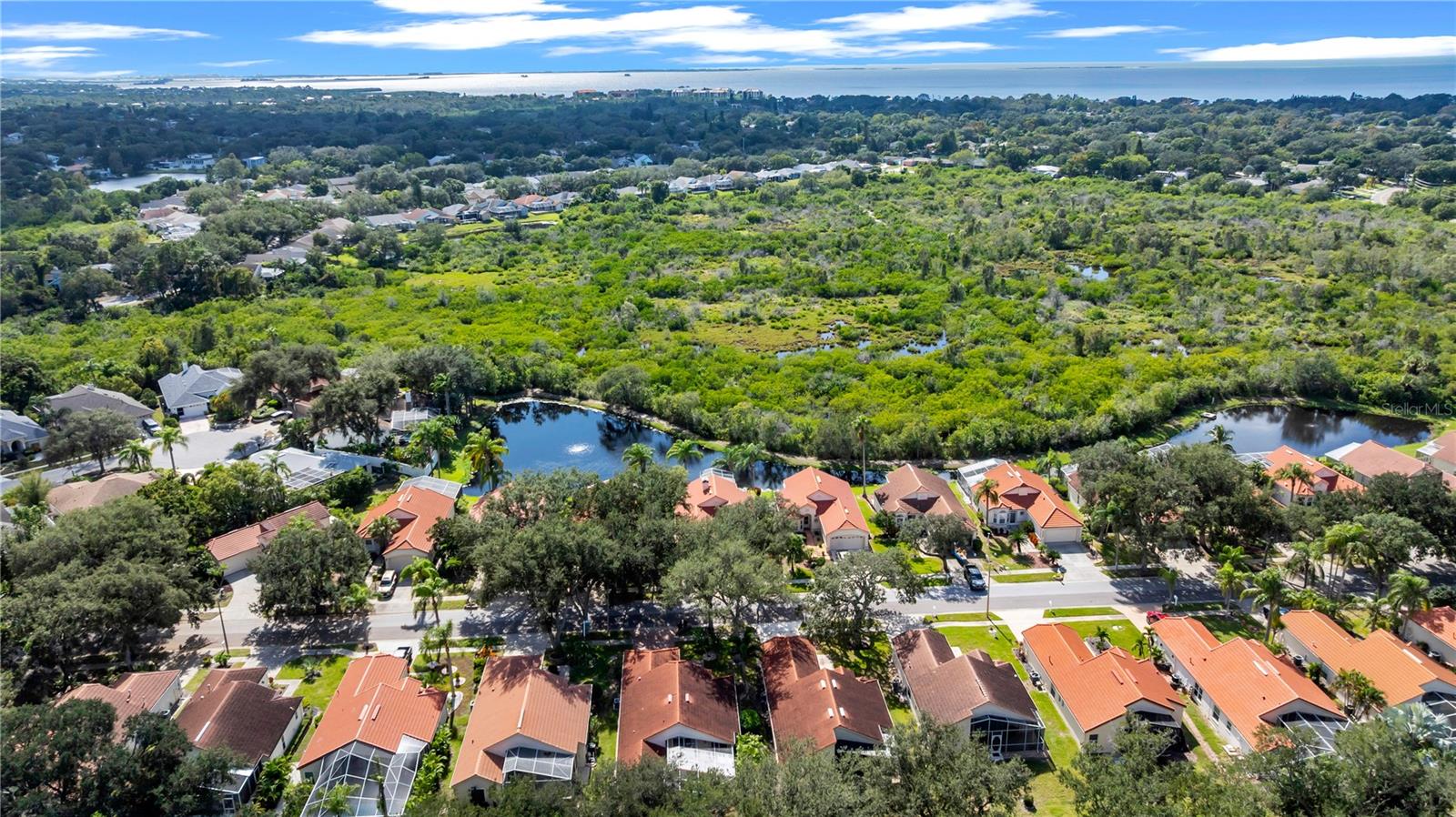761 LIGHTHOUSE DRIVE, Tarpon Springs, FL 34689